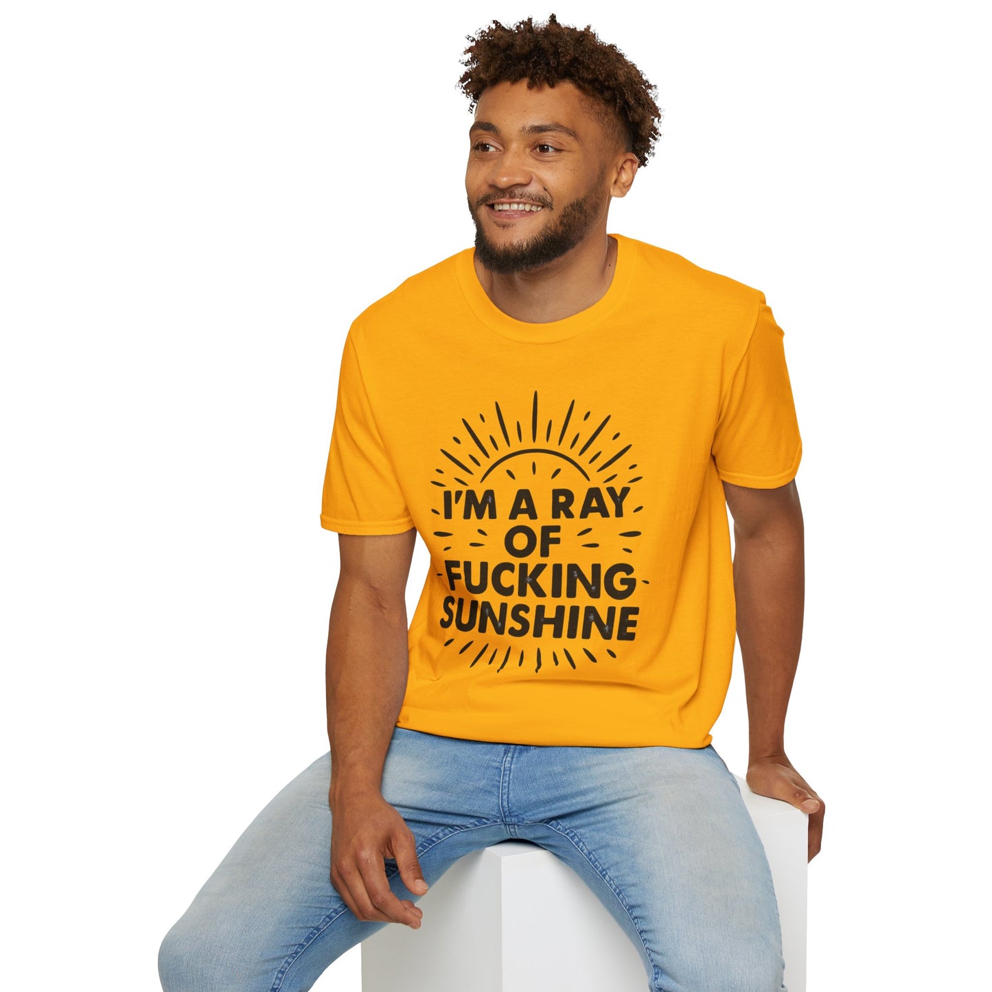 Ray of Fucking Sunshine Shirt – Sarcastic Funny Mood Tee – Gift for Cynical Friends, Bad Attitude Days, Grumpy People with Humor