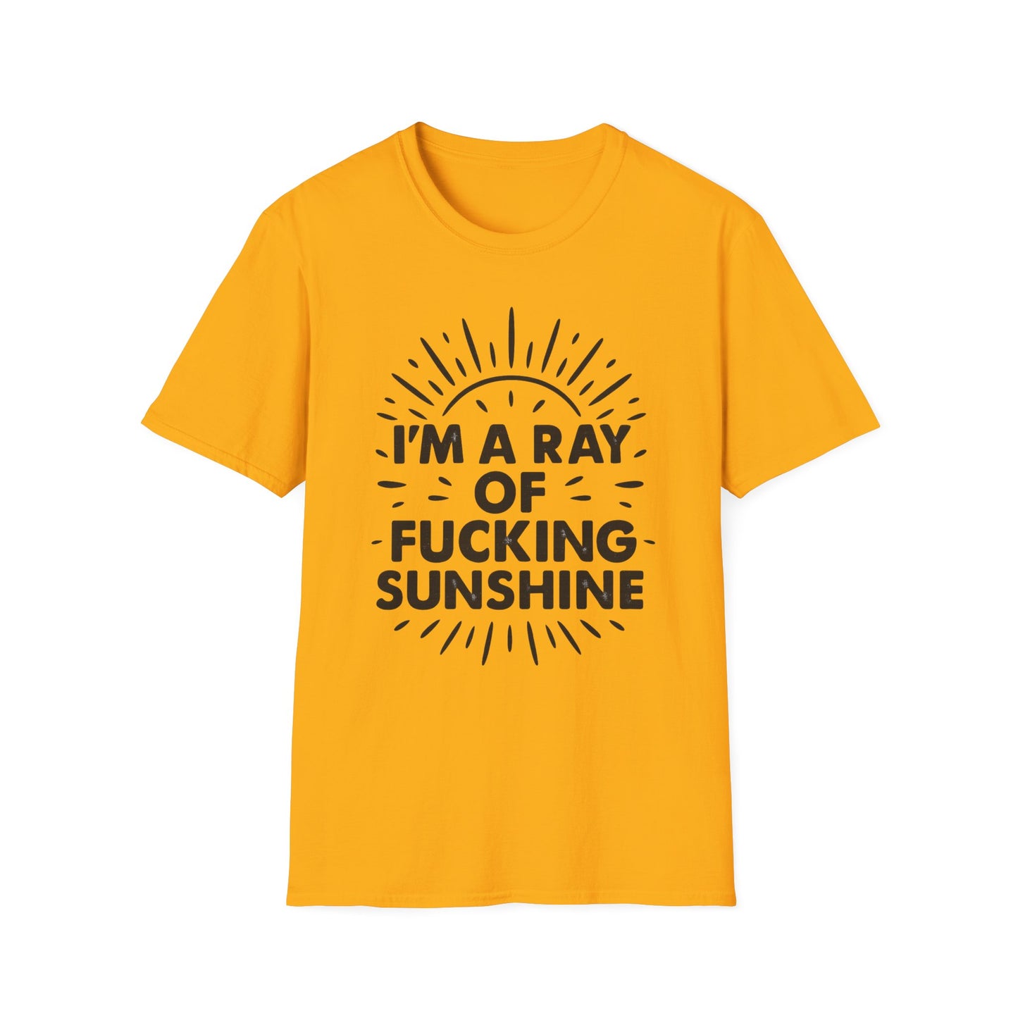 Ray of Fucking Sunshine Shirt – Sarcastic Funny Mood Tee – Gift for Cynical Friends, Bad Attitude Days, Grumpy People with Humor