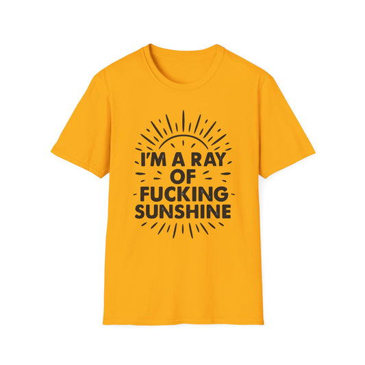 Ray of Fucking Sunshine Shirt – Sarcastic Funny Mood Tee – Gift for Cynical Friends, Bad Attitude Days, Grumpy People with Humor